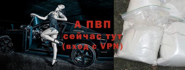 сатива Арсеньев