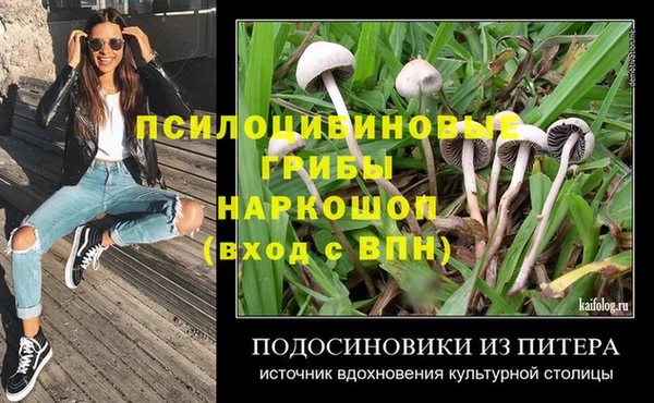 амф Аркадак
