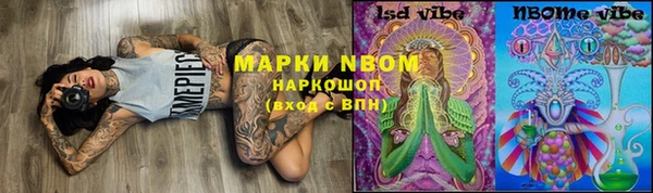 амф Аркадак