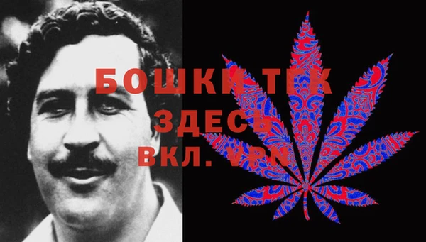 амф Аркадак
