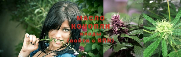 сатива Арсеньев