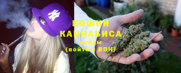 сатива Арсеньев